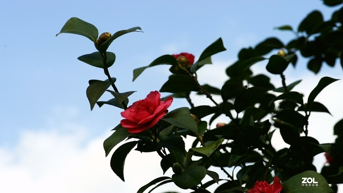 春暖花开