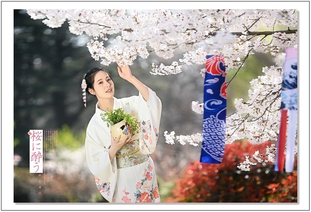 桜に酔う---醉在樱花