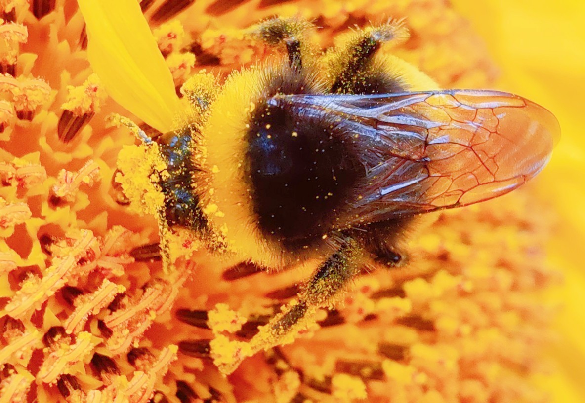 7月摄影大赛—“微”中有你  发现不一样的微观世界【获奖名单公布】】