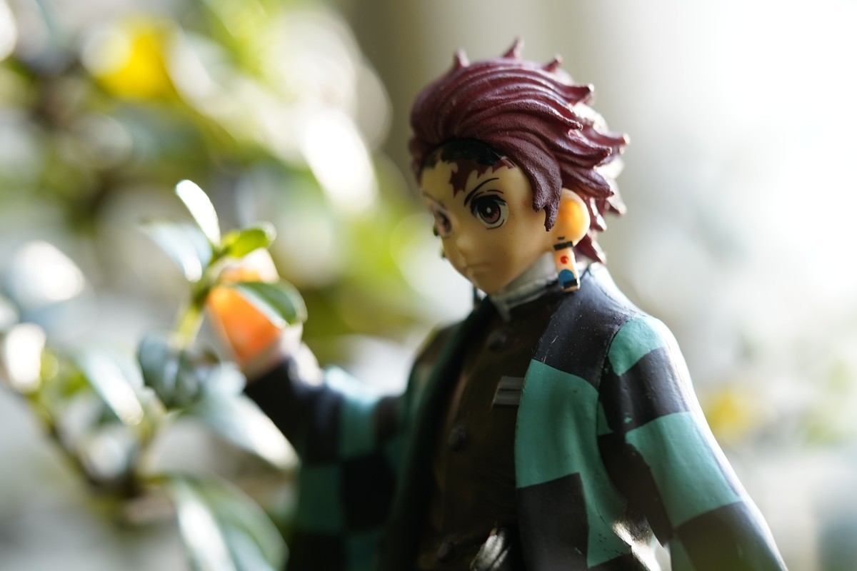 索尼90微距镜头试片JPG 直出 1调色后 2原片