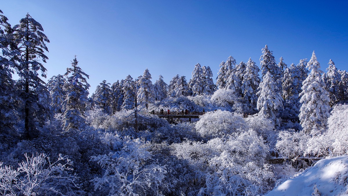 四川洪雅---探雪瓦屋山【8】