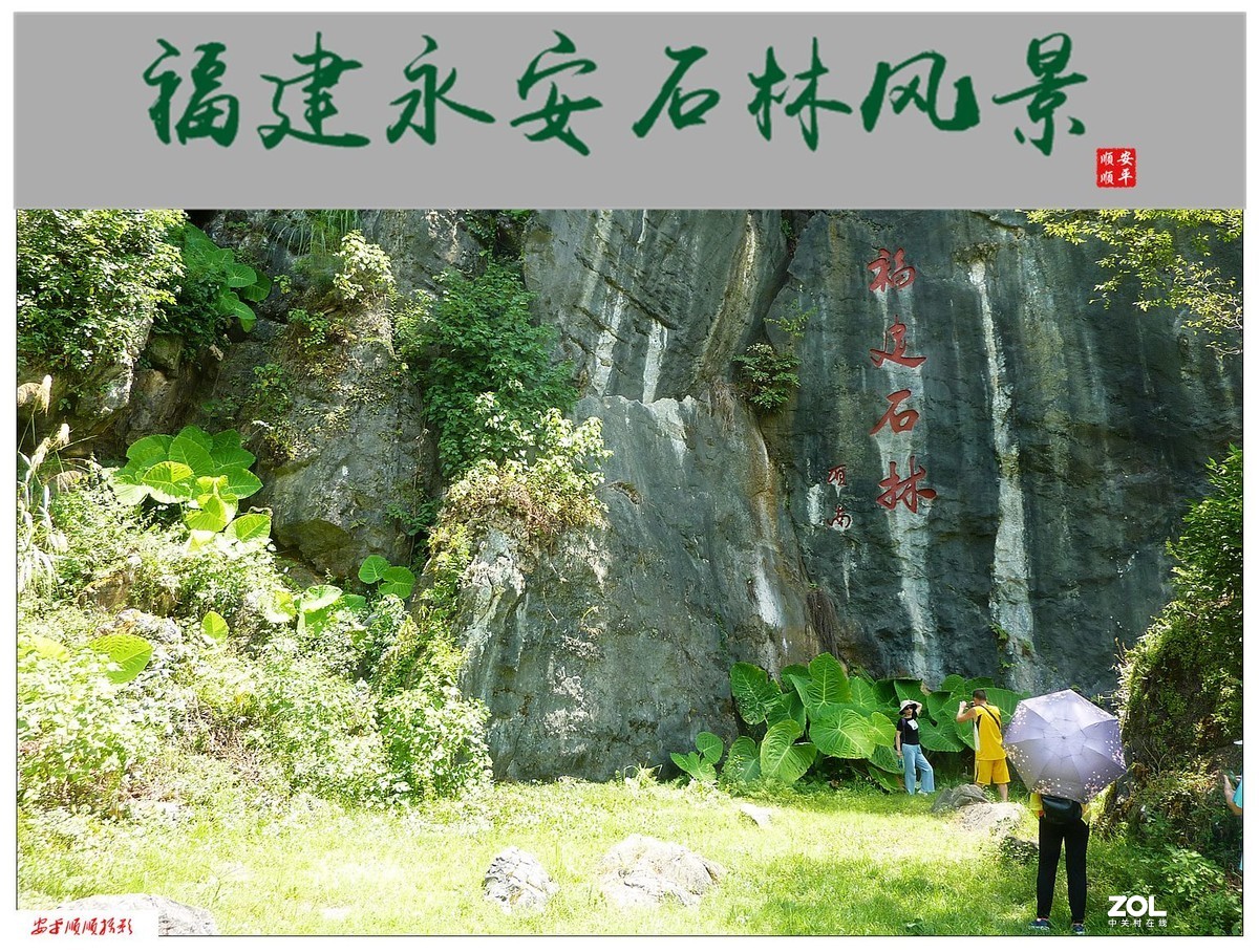 旅游随拍-----福建永安石林风景(中)