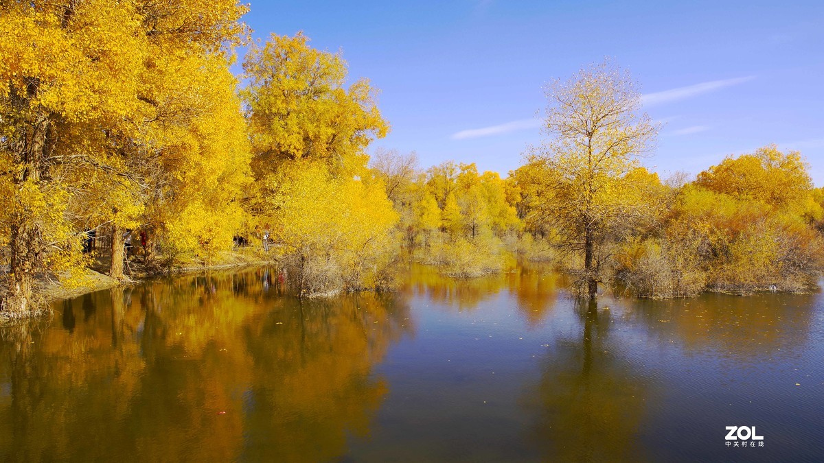 甘肃--金塔胡杨林【四】