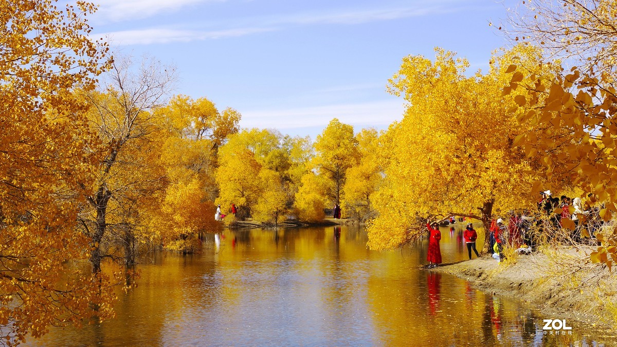 甘肃--金塔胡杨林【四】