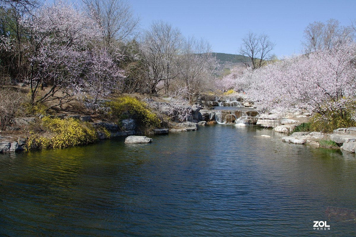 桃花溪边找寻春的信息