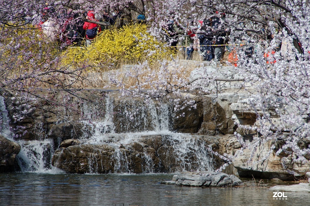 桃花溪边找寻春的信息