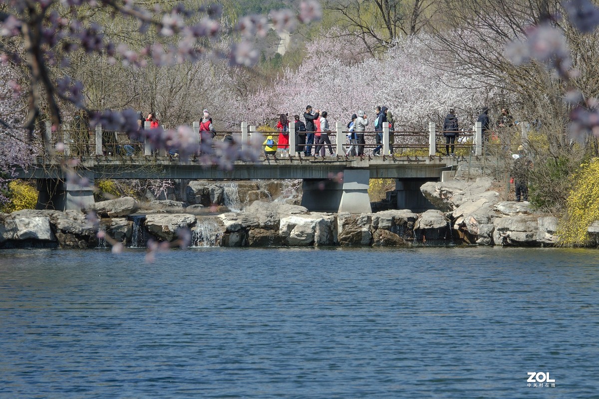 桃花溪边找寻春的信息