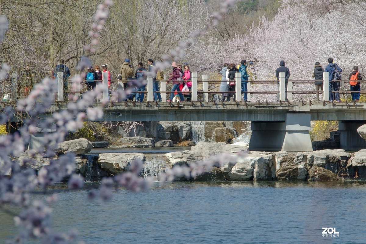 桃花溪边找寻春的信息