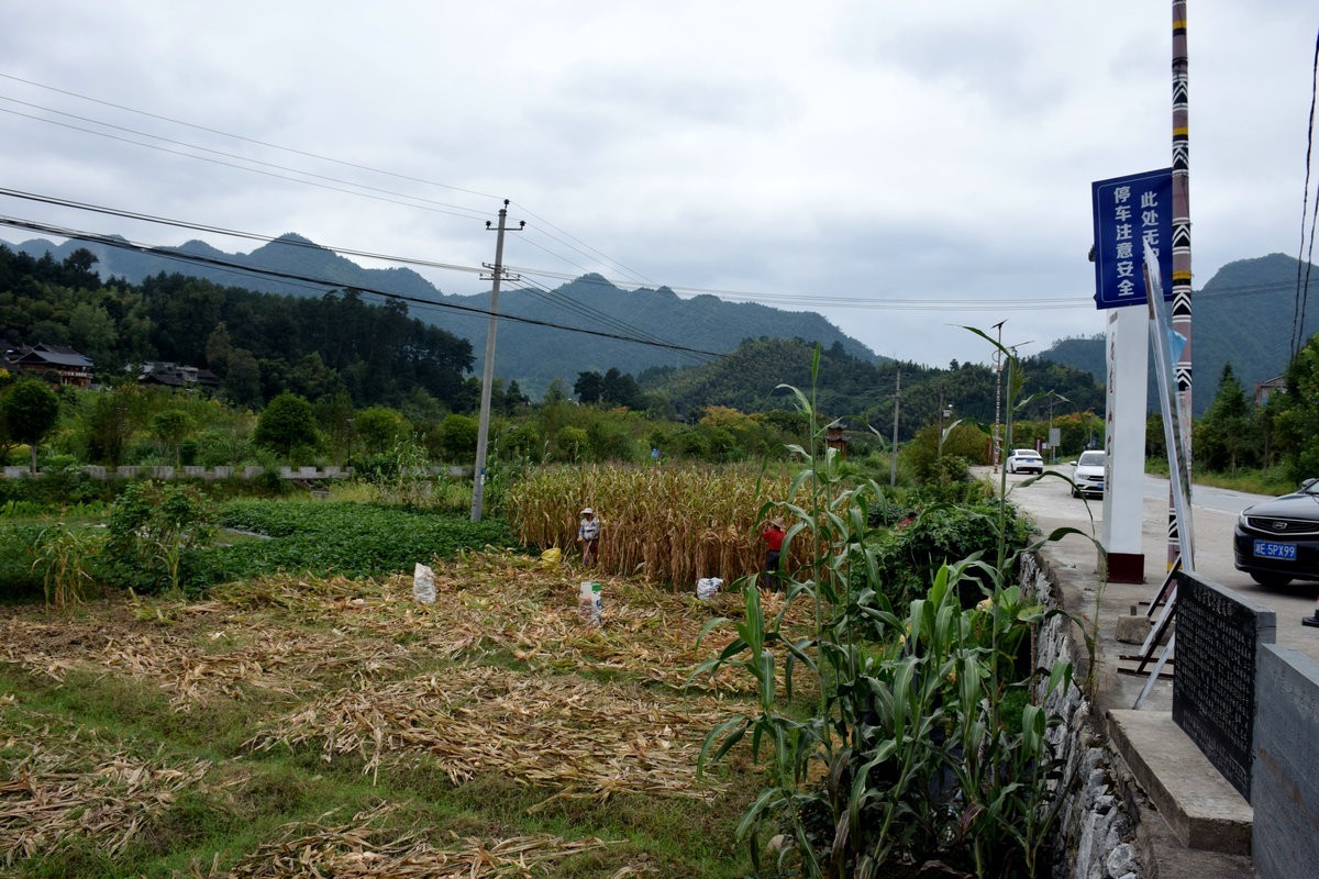 2021秋 湘西南（22）那山、那人、那狗