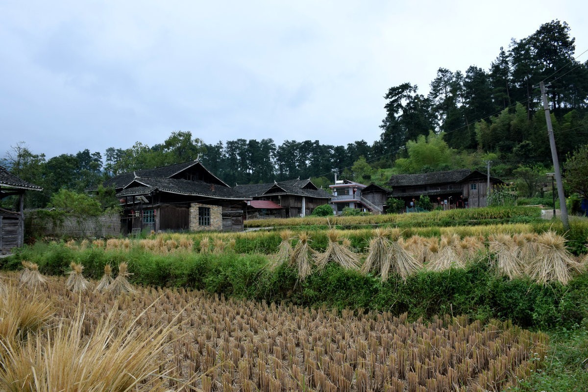2021秋 湘西南（22）那山、那人、那狗