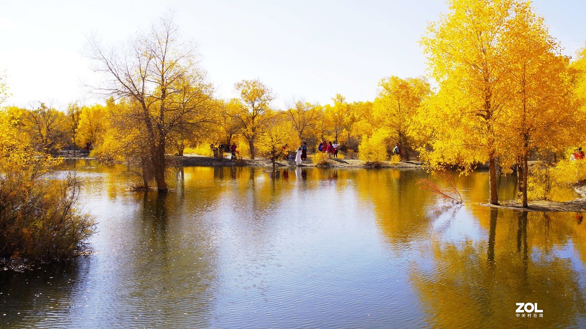 甘肃--金塔胡杨林【四】