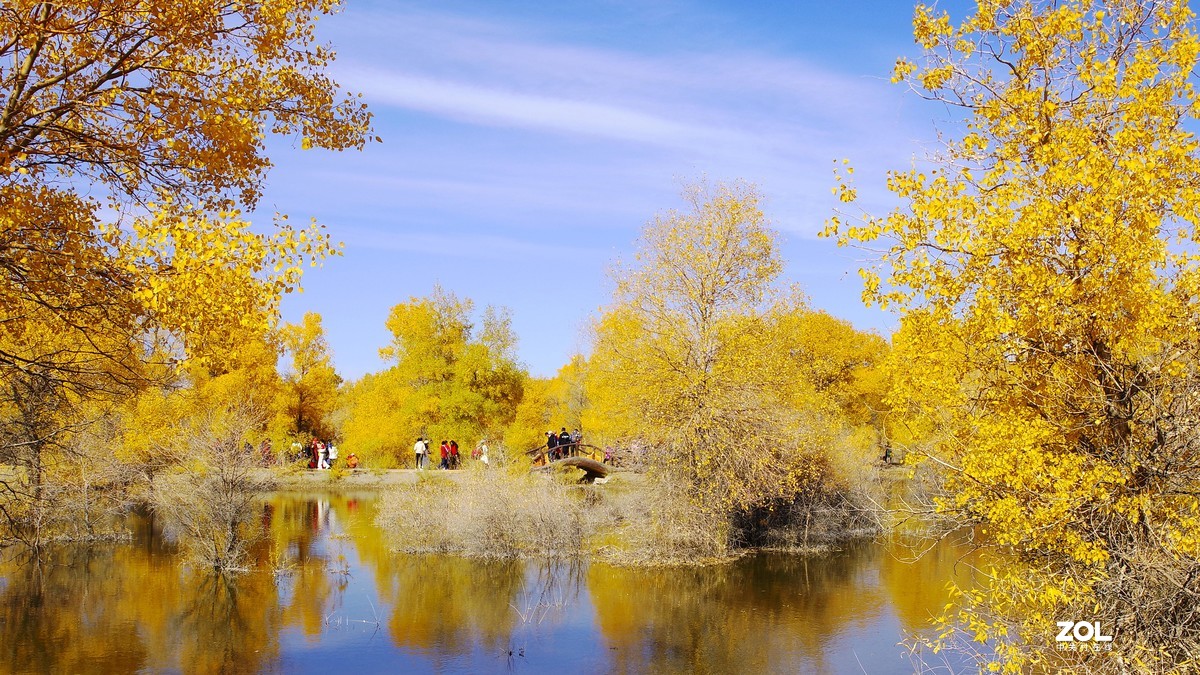 甘肃--金塔胡杨林【四】