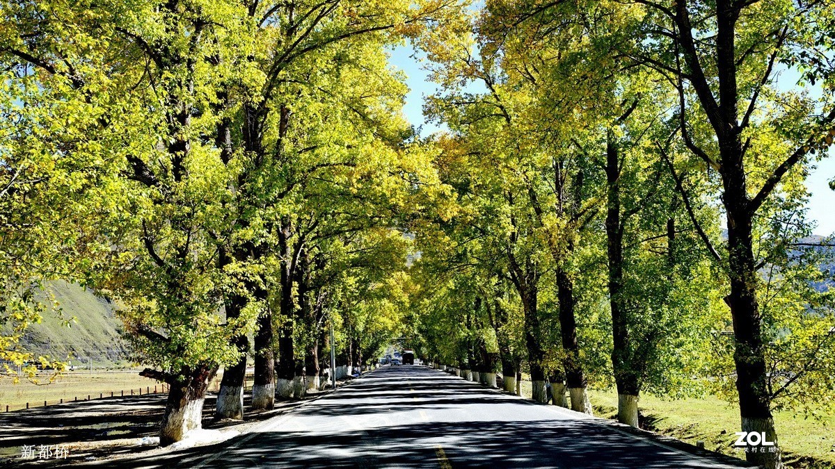 川藏行------川西高原【结束篇】