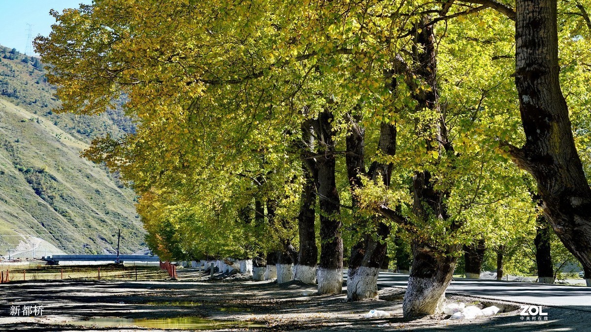 川藏行------川西高原【结束篇】