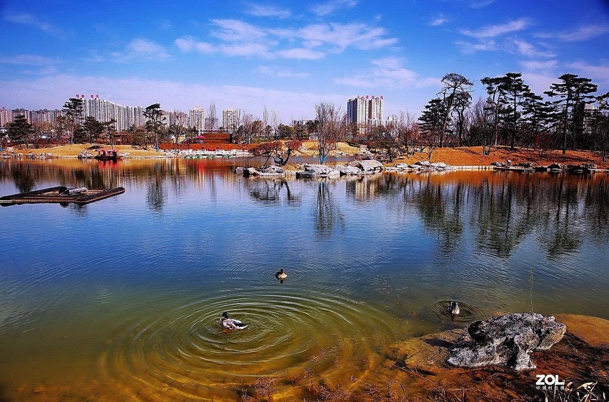 洛阳九洲池完成蓄水画面首次曝光,水天一色,太美了 - 洛阳牡丹文化节