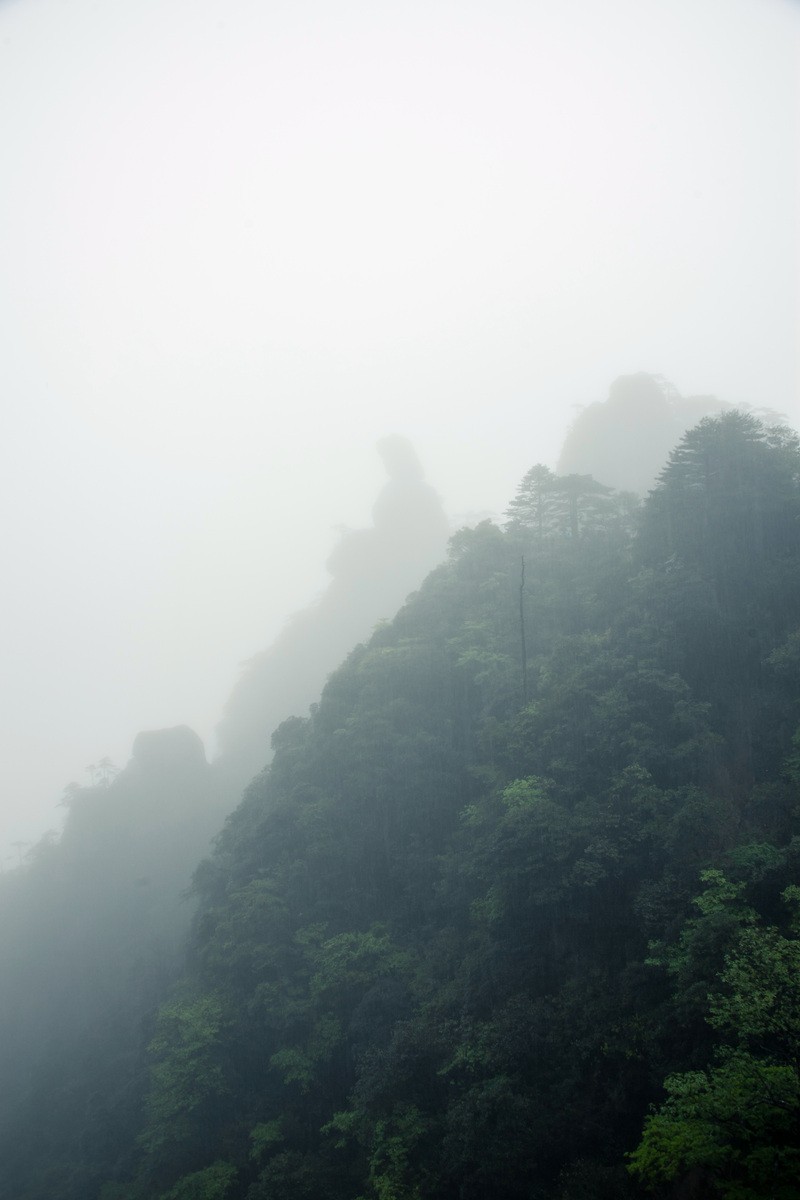 雨雾中的江西三清山——女神峰、巨蟒峰、马头石等