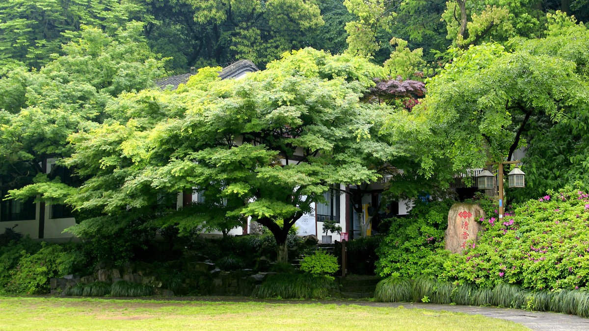 下江南--杭州--西湖【5】西泠印社