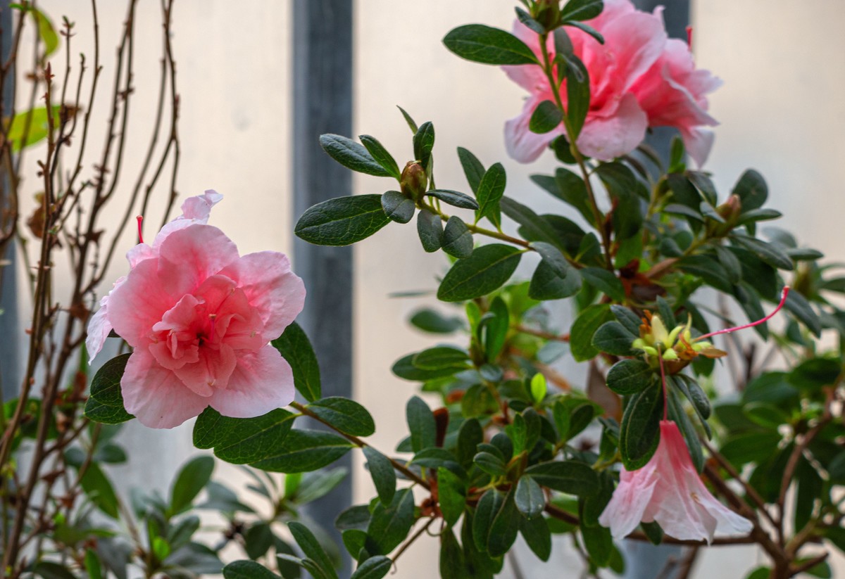 换购了150-600 C版，当天试机，感觉真值