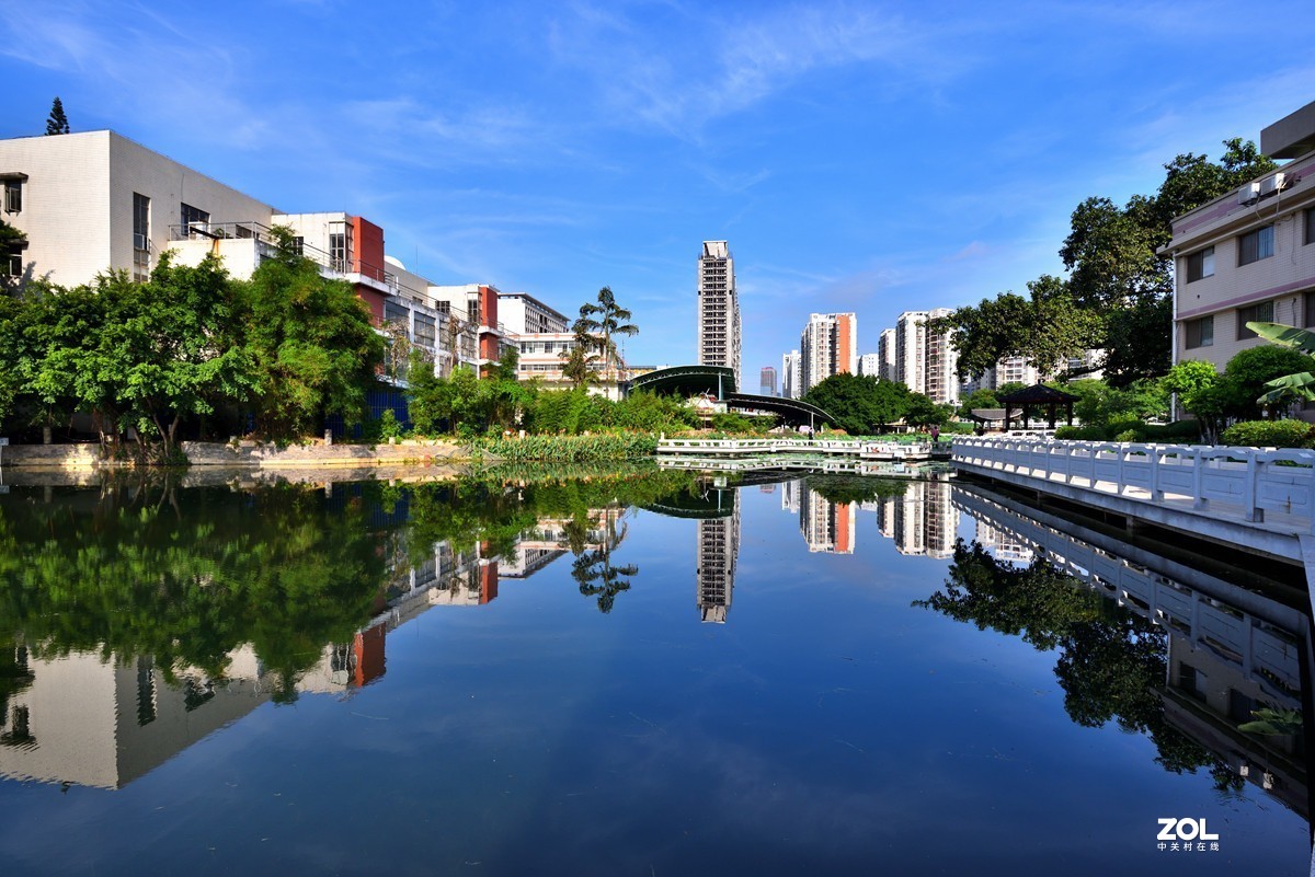 广西大学校园人工湖掠影5