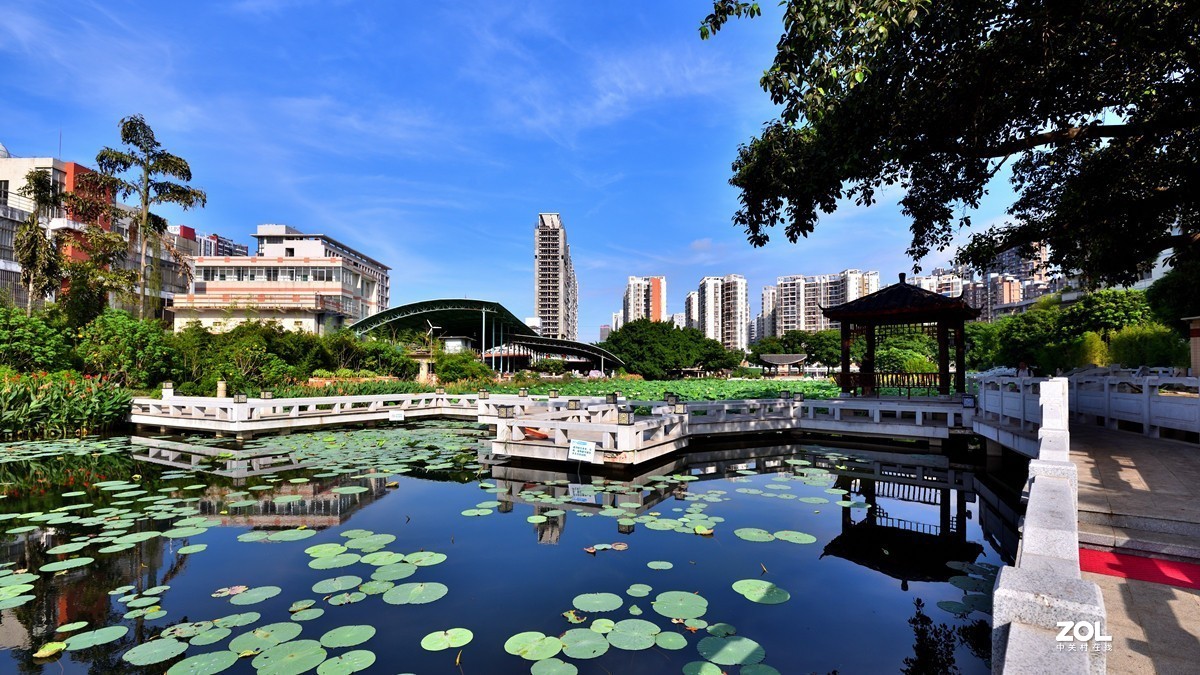 广西大学校园人工湖掠影5