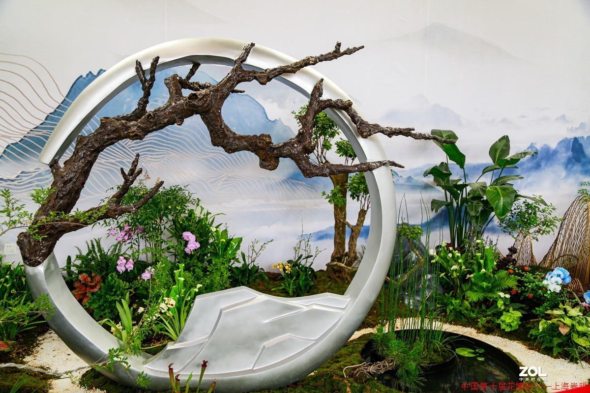 第十届中国花博会纪实————室内花卉掠影