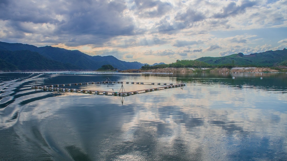 碧波荡漾水丰湖(二)
