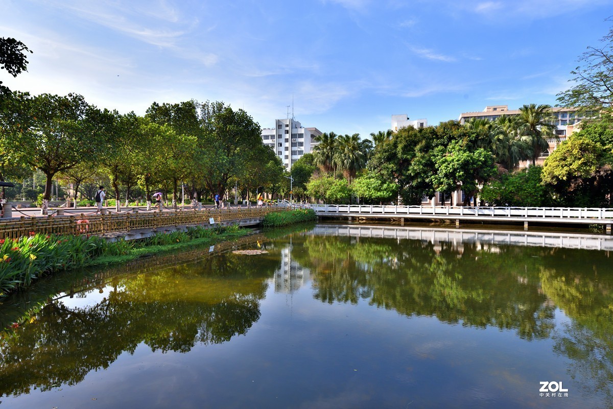 广西大学校园人工湖掠影5