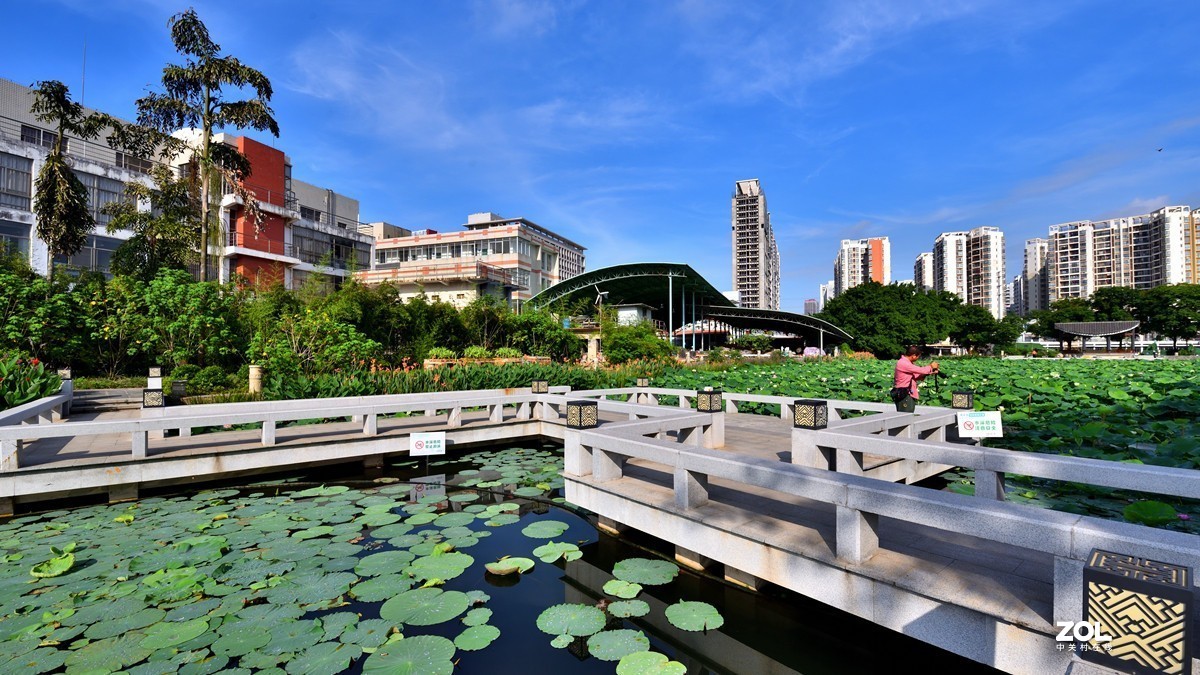 广西大学校园人工湖掠影5