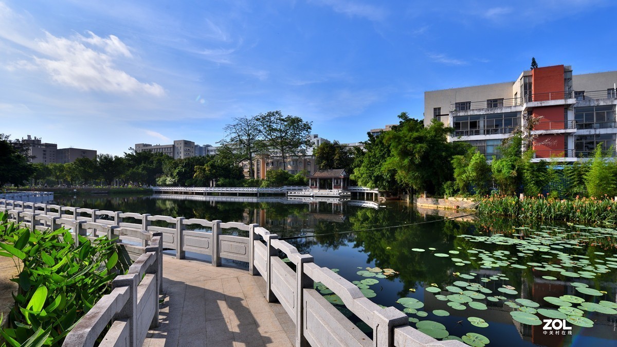 广西大学校园人工湖掠影5