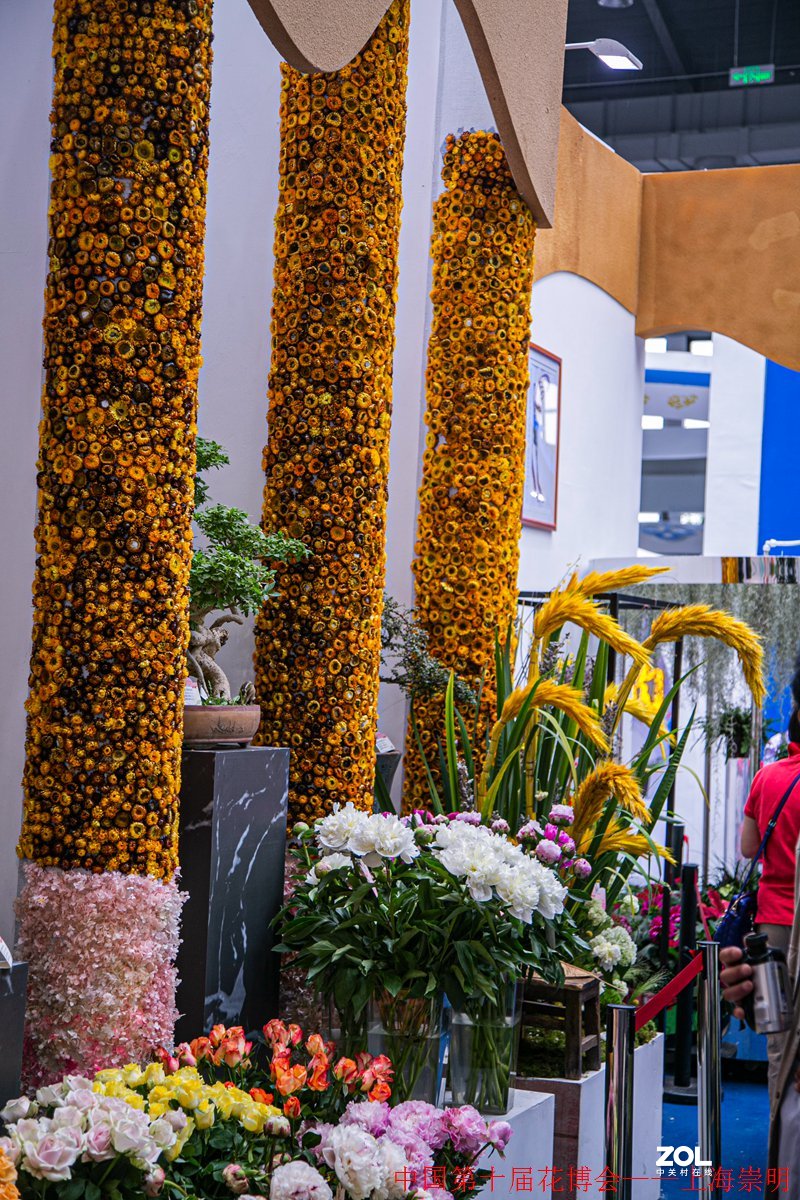 第十届中国花博会纪实————室内花卉掠影