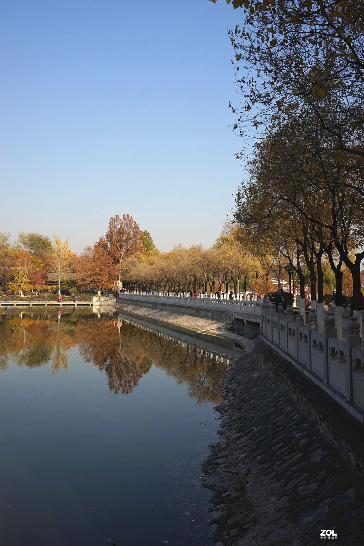 国家地理森林公园  [秋韵]