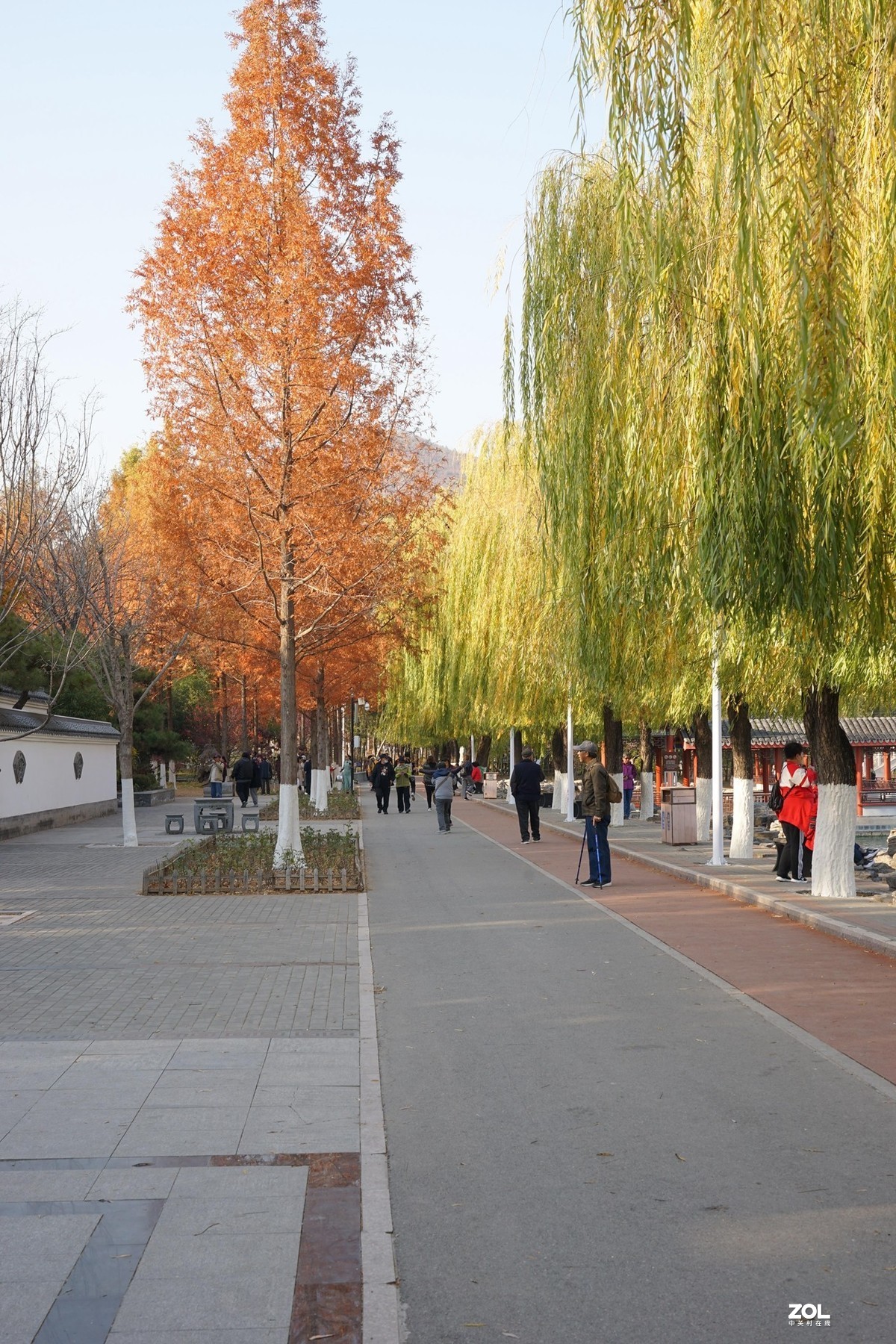 国家地理森林公园  [秋韵]