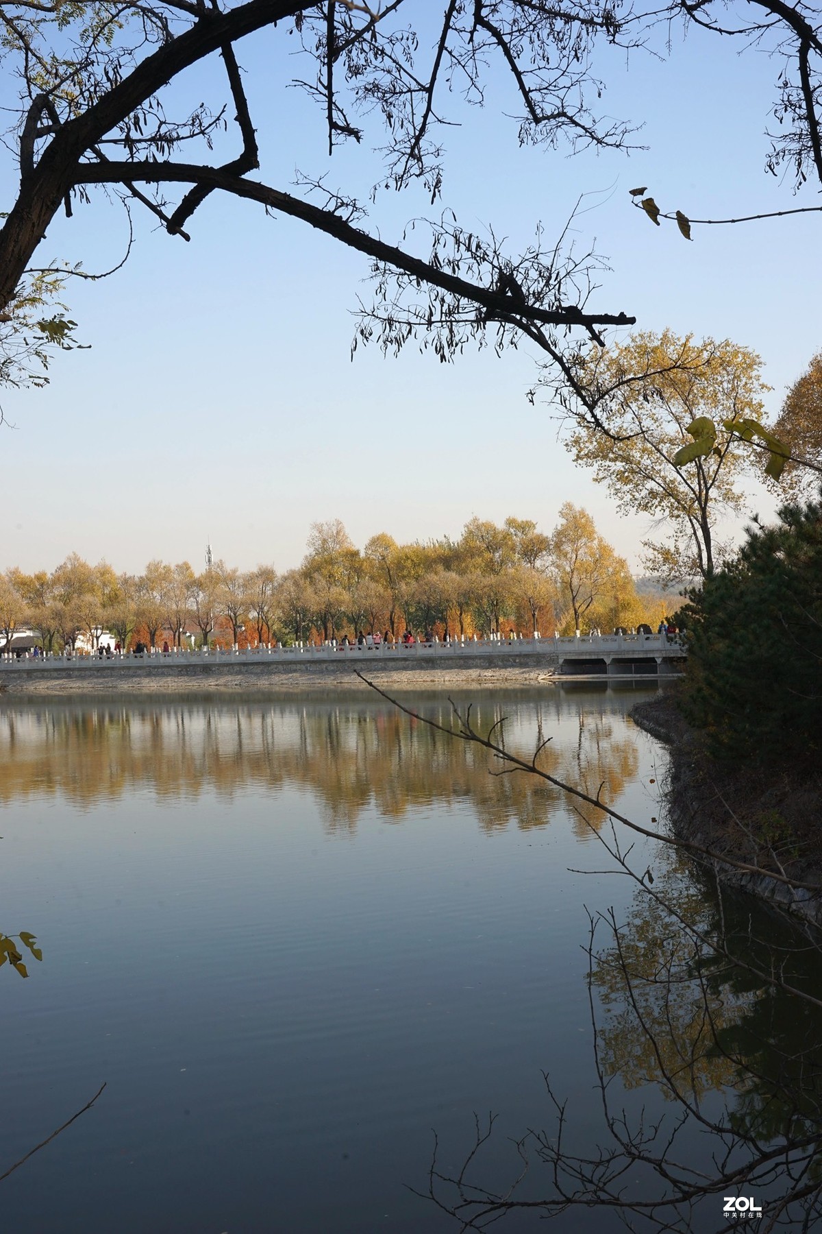 国家地理森林公园  [秋韵]