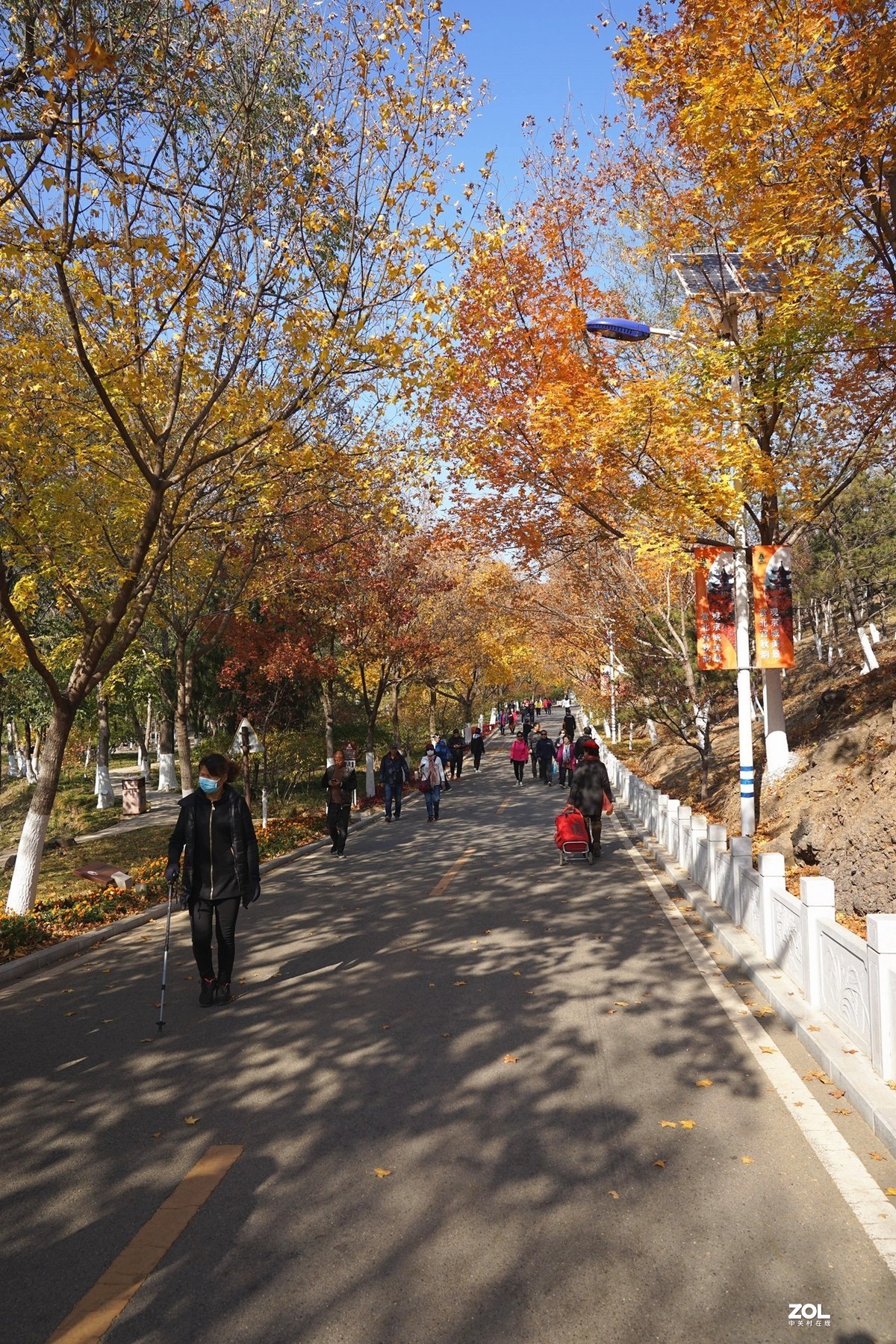 国家地理森林公园  [秋韵]