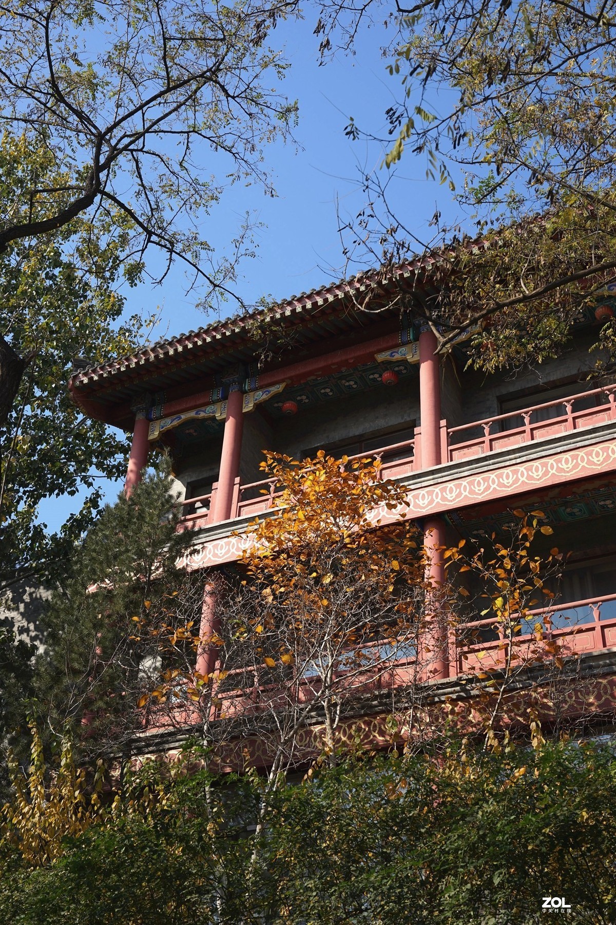 国家地理森林公园  [秋韵]