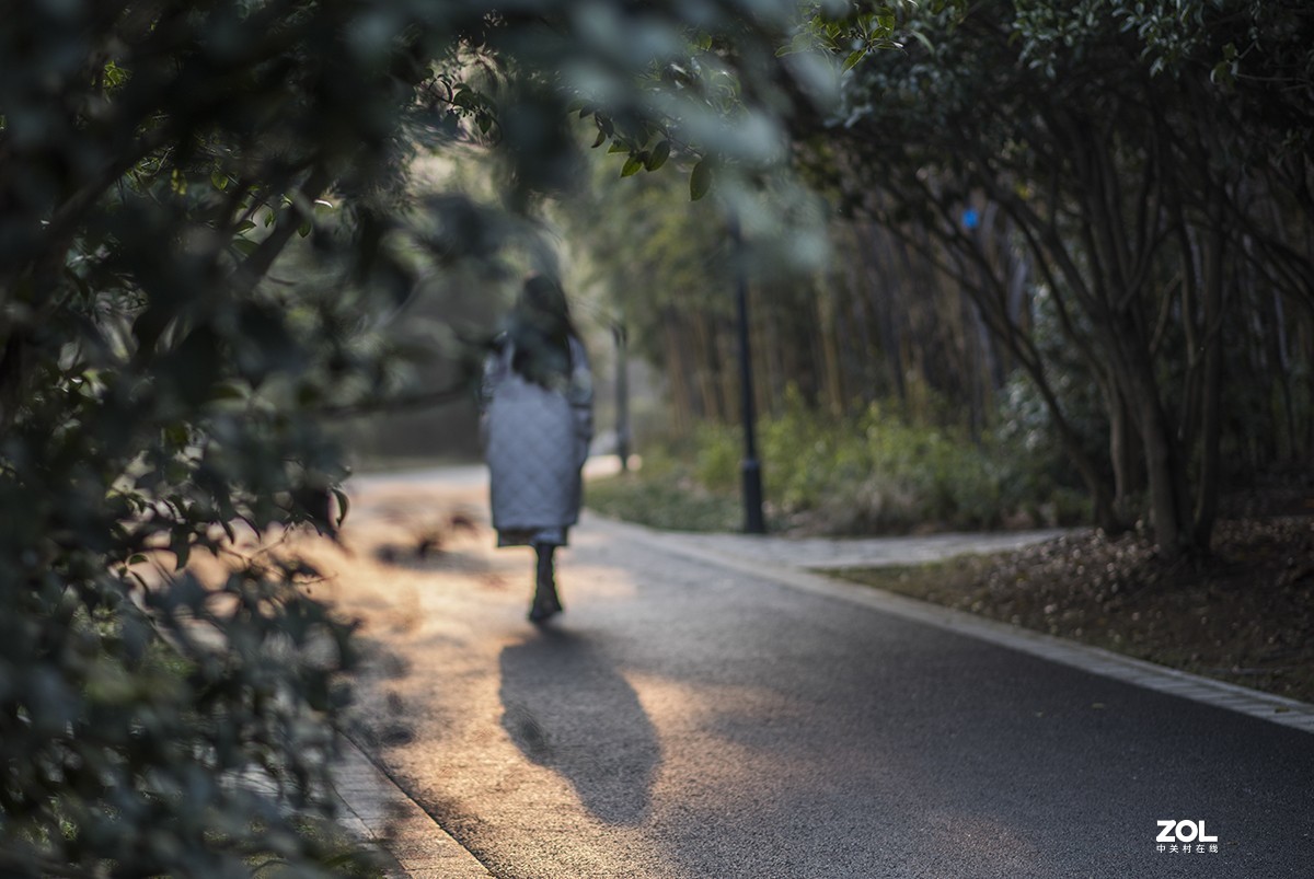 植物园里的妙龄少女