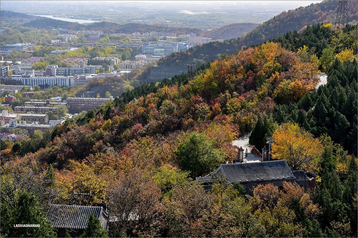 2020年第667贴-北京百望山秋拍4（1218F)