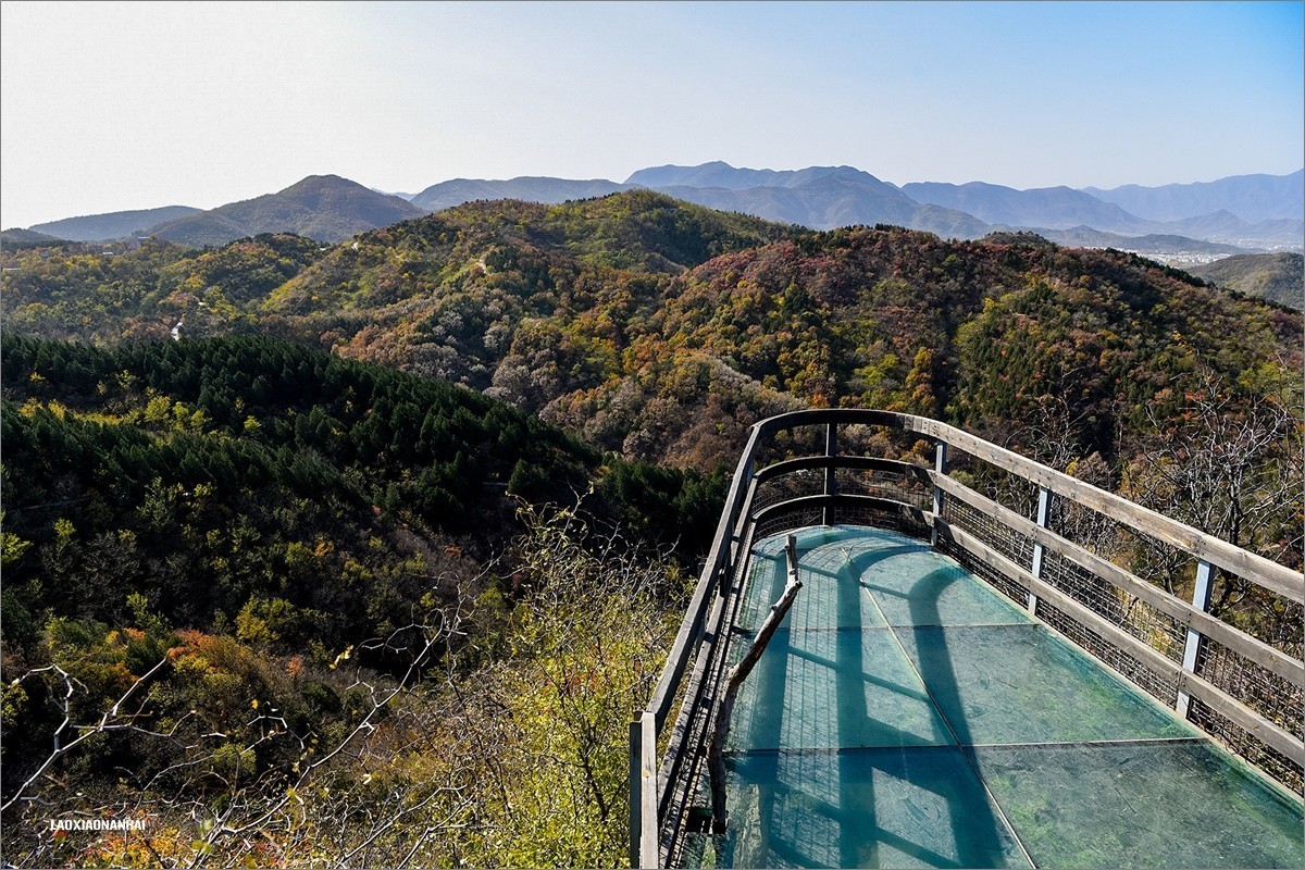 2020年第667贴-北京百望山秋拍4（1218F)