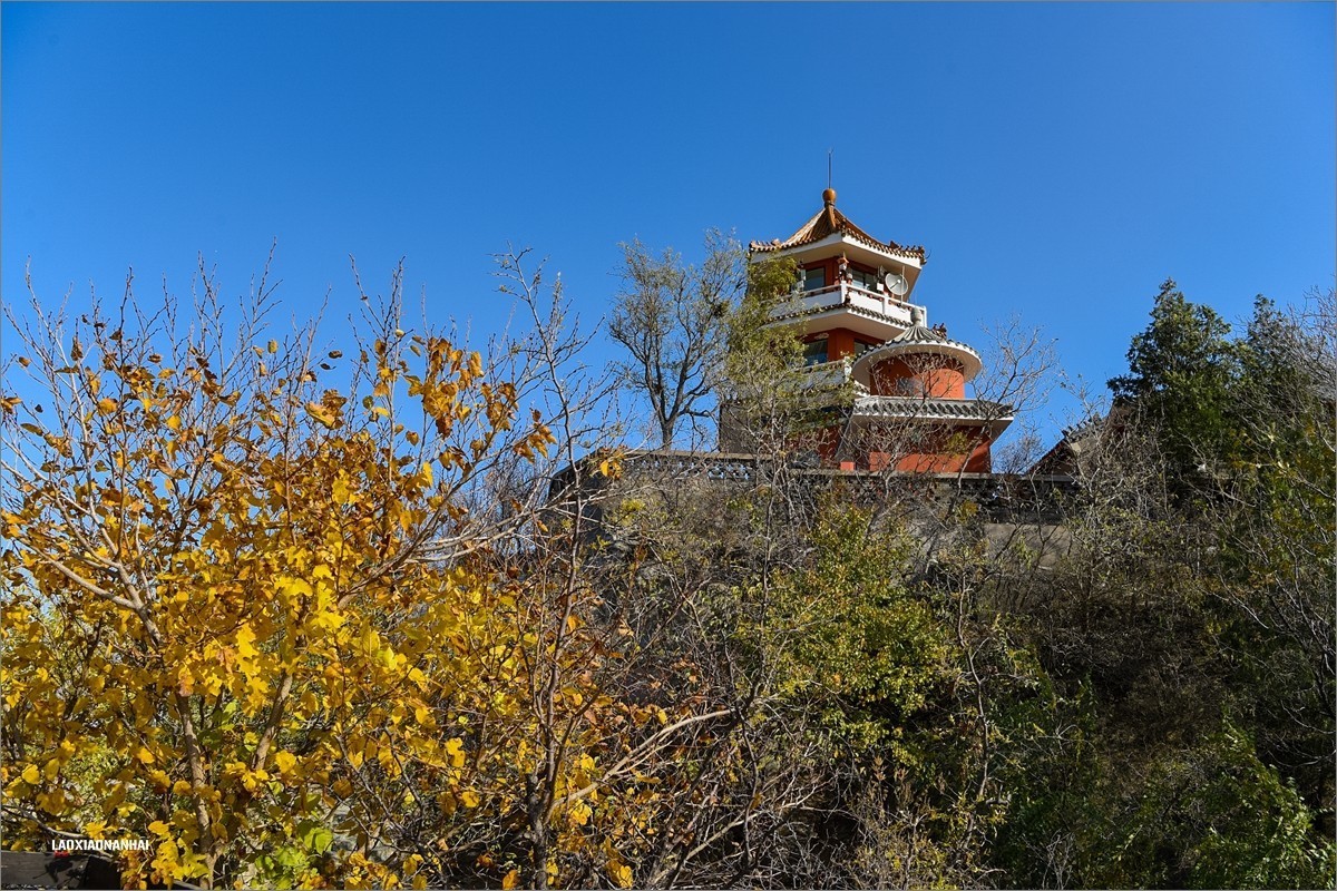 2020年第667贴-北京百望山秋拍4（1218F)