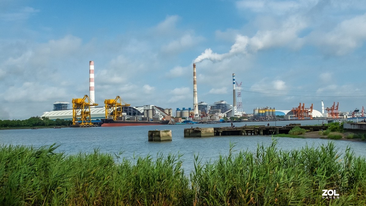 黄浦江岸边天然氧吧