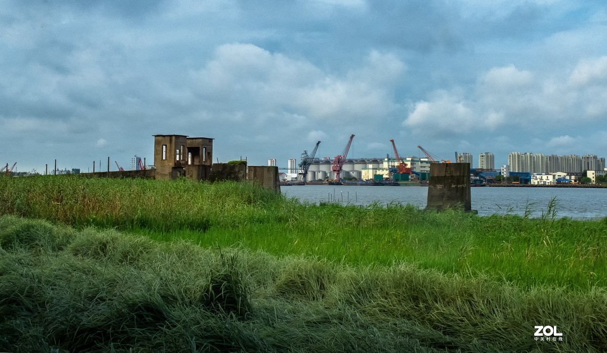 黄浦江岸边天然氧吧