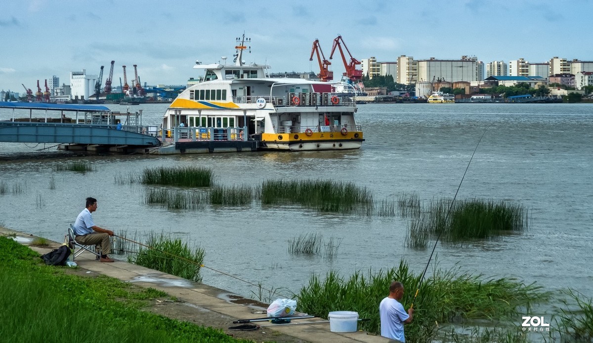 黄浦江岸边天然氧吧