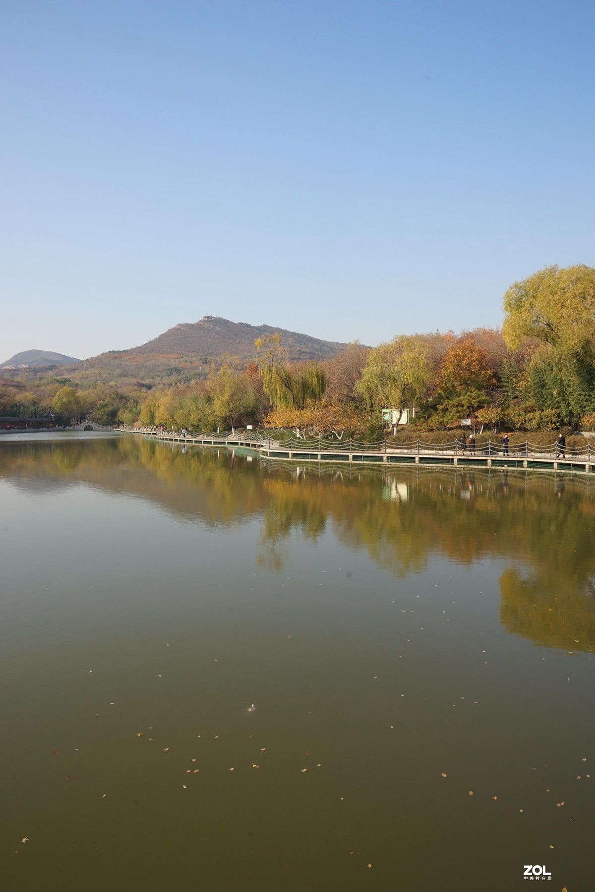 国家地理森林公园  [秋韵]