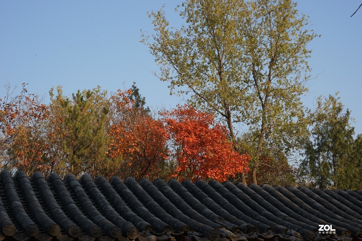 国家地理森林公园  [秋韵]