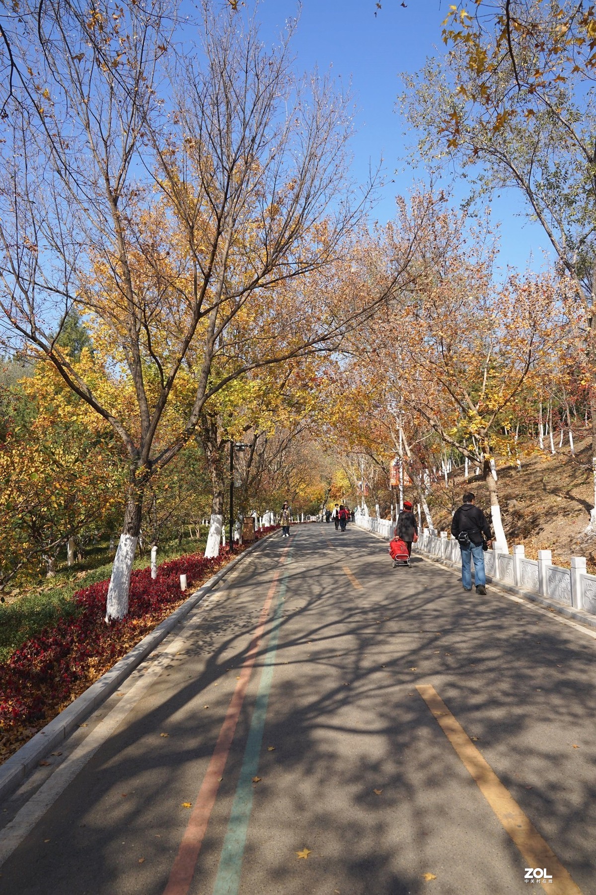 国家地理森林公园  [秋韵]