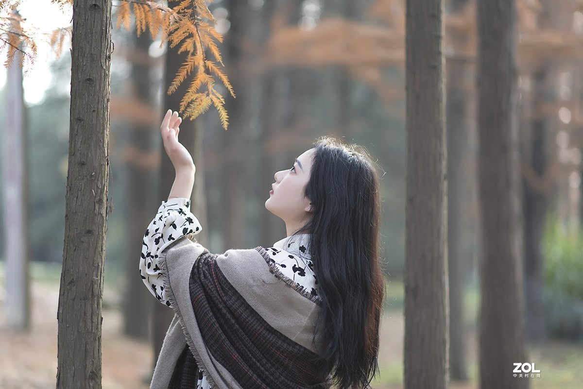 植物园里的妙龄少女