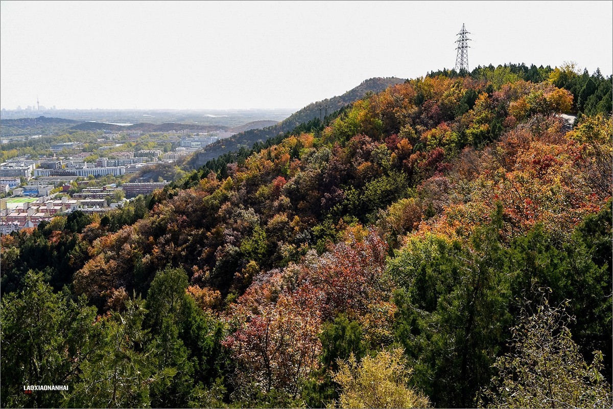2020年第667贴-北京百望山秋拍4（1218F)
