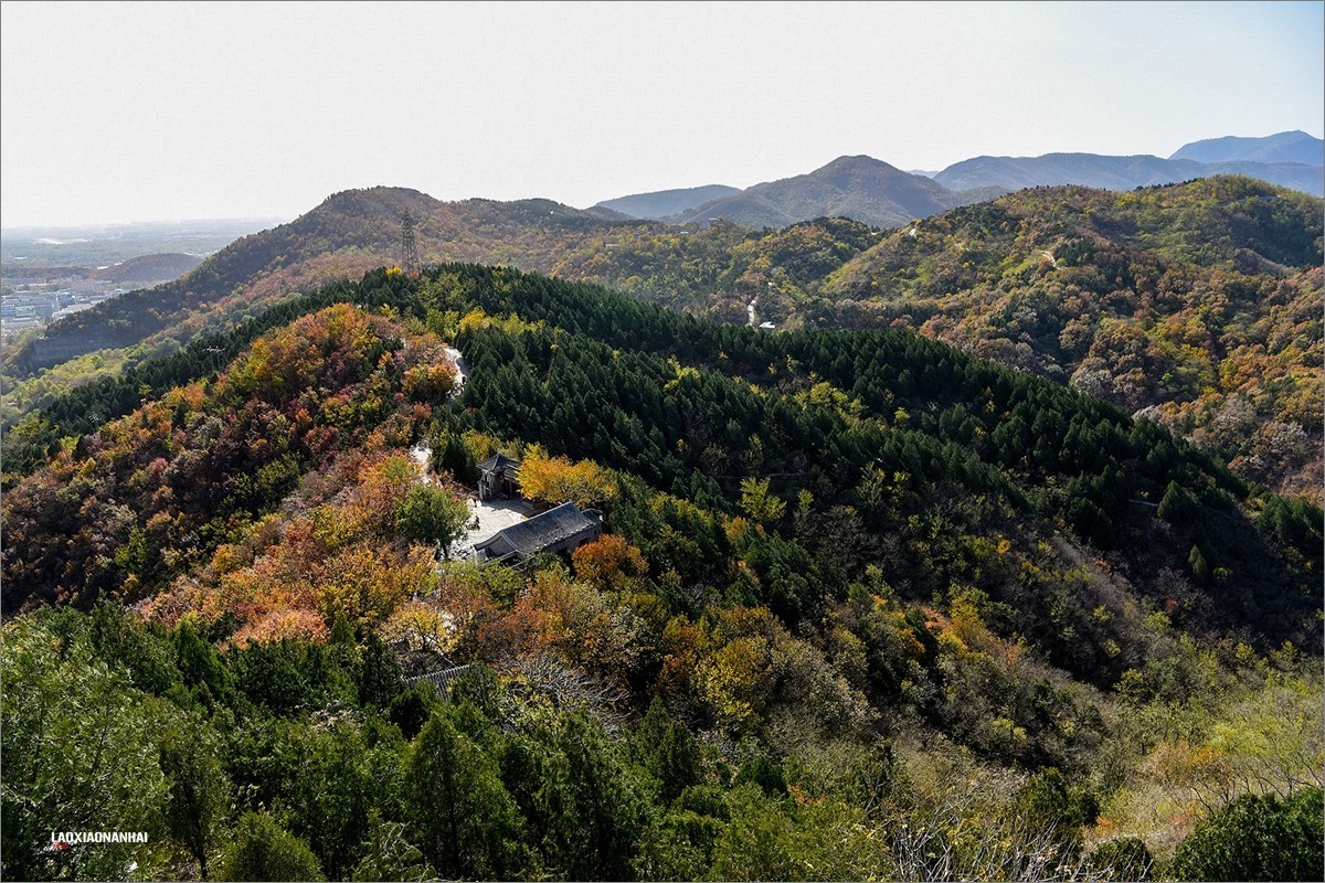 2020年第667贴-北京百望山秋拍4（1218F)