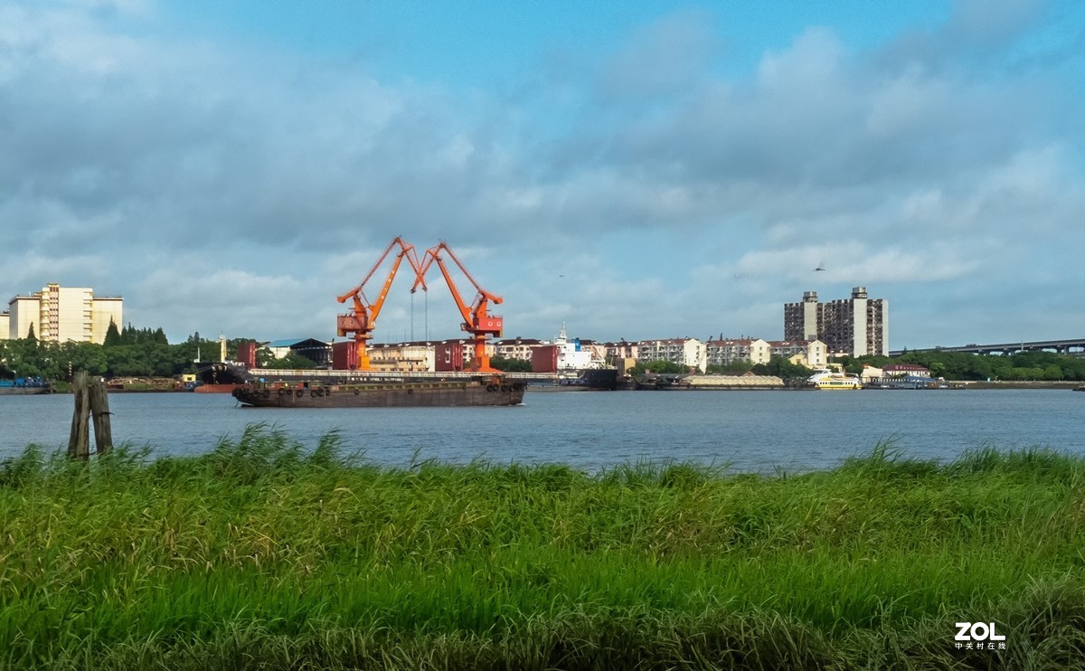 黄浦江岸边天然氧吧