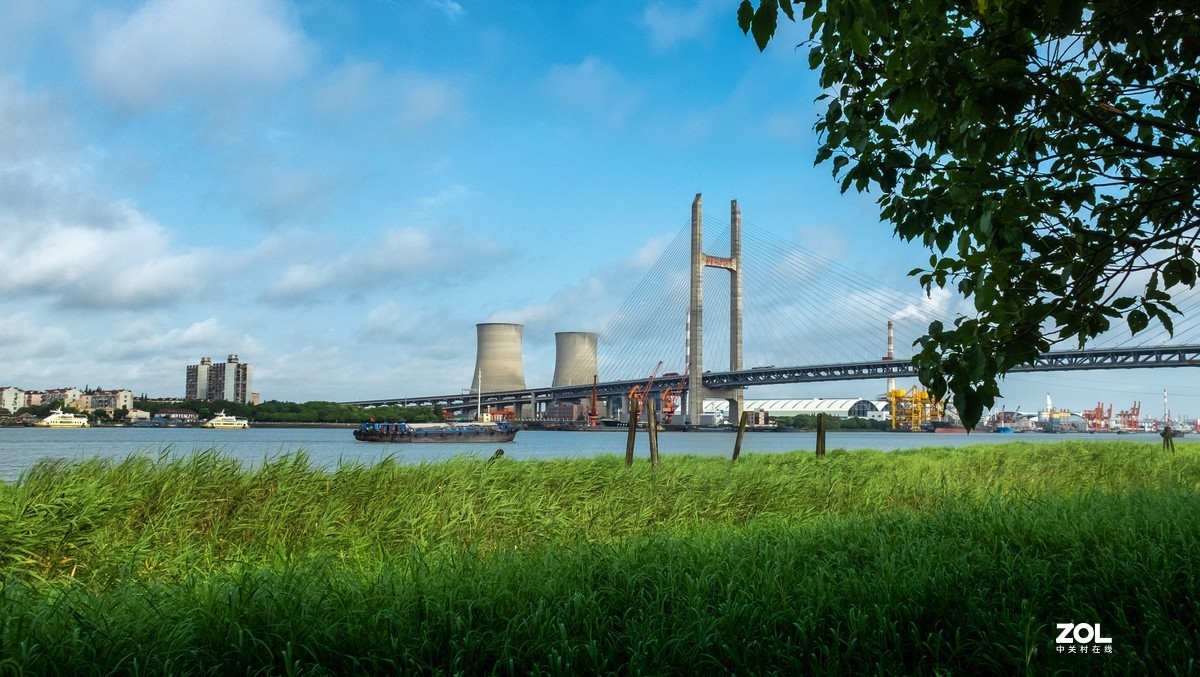 黄浦江岸边天然氧吧